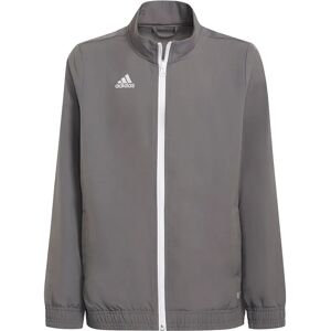 Adidas Entrada 22 Tracksuit Jacket Team Grey Four 15-16 Years Boys,Girls Adidas Entrada 22 Tracksuit Jacket Team Grey Four 15-16 Years Boys,Girls