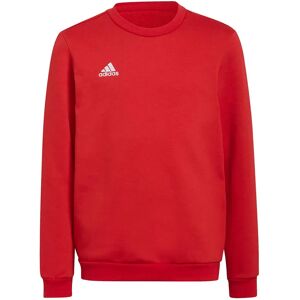 Adidas Entrada 22 Stadium Sw Sweatshirt Team Power Red 11-12 Years Boys,Girls Adidas Entrada 22 Stadium Sw Sweatshirt Team Power Red 11-12 Years Boys,Girls