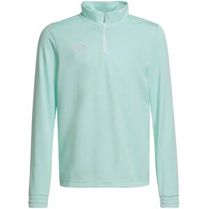 Adidas Entrada 22 Training Sweatshirt Clear Mint 15-16 Years Boys,Girls Adidas Entrada 22 Training Sweatshirt Clear Mint 15-16 Years Boys,Girls