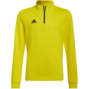 Adidas Entrada 22 Training Sweatshirt Team Yellow / Black 15-16 Years Boys,Girls Adidas Entrada 22 Training Sweatshirt Team Yellow / Black 15-16 Years Boys,Girls
