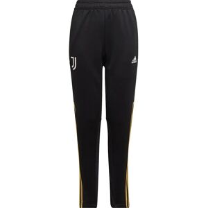 Adidas Juventus 21/22 Training Junior Pants Black 15-16 Years Boys,Girls Adidas Juventus 21/22 Training Junior Pants Black 15-16 Years Boys,Girls