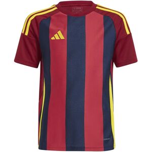 Adidas Striped 24 Short Sleeve T-shirt Team Navy Blue 2 / Team Coll Burgundy 2 / Team Yellow 5-6 Years Boys,Girls Adidas Striped 24 Short Sleeve T-shirt Team Navy Blue 2 / Team Coll Burgundy 2 / Team Yellow 5-6 Years Boys,Girls