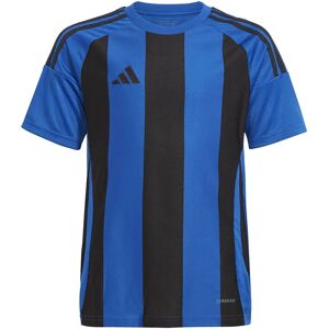 Adidas Striped 24 Short Sleeve T-shirt Team Royal Blue / Black 13-14 Years Boys,Girls Adidas Striped 24 Short Sleeve T-shirt Team Royal Blue / Black 13-14 Years Boys,Girls