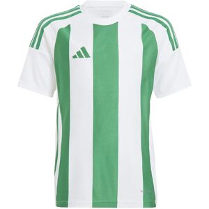 Adidas Striped 24 Short Sleeve T-shirt White / Team Green 7-8 Years Boys,Girls Adidas Striped 24 Short Sleeve T-shirt White / Team Green 7-8 Years Boys,Girls