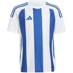 Adidas Striped 24 Short Sleeve T-shirt White / Team Royal Blue 15-16 Years Boys,Girls Adidas Striped 24 Short Sleeve T-shirt White / Team Royal Blue 15-16 Years Boys,Girls