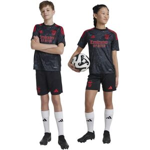 Adidas Benfica 24/25 Away Junior Short Sleeve T-shirt Black 11-12 Years Boys,Girls Adidas Benfica 24/25 Away Junior Short Sleeve T-shirt Black 11-12 Years Boys,Girls