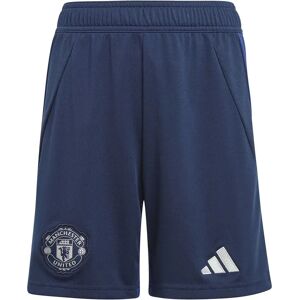 Adidas Manchester United 24/25 Away Junior Shorts Night Indigo 7-8 Years Boys Adidas Manchester United 24/25 Away Junior Shorts Night Indigo 7-8 Years Boys