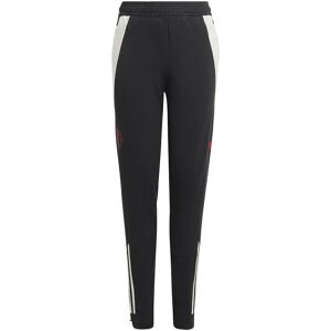 Adidas Manchester United 24/25 Eu Junior Tracksuit Pants Carbon 9-10 Years Boys,Girls Adidas Manchester United 24/25 Eu Junior Tracksuit Pants Carbon 9-10 Years Boys,Girls