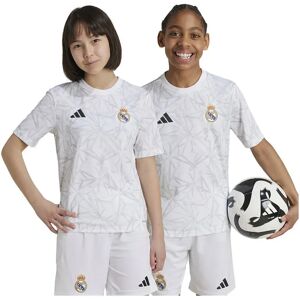 Adidas Real Madrid 24/25 Pre Match Junior Short Sleeve T-shirt White / Clear Grey 15-16 Years Boys,Girls Adidas Real Madrid 24/25 Pre Match Junior Short Sleeve T-shirt White / Clear Grey 15-16 Years Boys,Girls