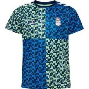 Hummel Ud Las Palmas 24/25 Pre Match Junior Short Sleeve T-shirt Patina Green / Marine 152 cm Boys,Girls Hummel Ud Las Palmas 24/25 Pre Match Junior Short Sleeve T-shirt Patina Green / Marine 152 cm Boys,Girls
