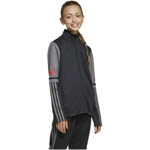 Adidas Squadra 25 Training Tracksuit Jacket Black / Team Grey Four / Pure Ruby 5-6 Years Boys,Girls Adidas Squadra 25 Training Tracksuit Jacket Black / Team Grey Four / Pure Ruby 5-6 Years Boys,Girls