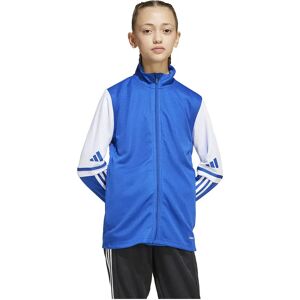 Adidas Squadra 25 Training Tracksuit Jacket Team Royal Blue / White 7-8 Years Boys,Girls Adidas Squadra 25 Training Tracksuit Jacket Team Royal Blue / White 7-8 Years Boys,Girls