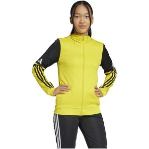 Adidas Squadra 25 Full Zip Sweatshirt Team Yellow / Black / White 5-6 Years Boys,Girls Adidas Squadra 25 Full Zip Sweatshirt Team Yellow / Black / White 5-6 Years Boys,Girls
