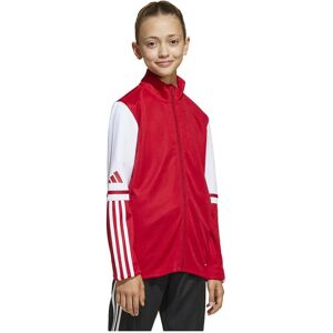 Adidas Squadra 25 Training Tracksuit Jacket Team Power Red 2 / White 13-14 Years Boys,Girls Adidas Squadra 25 Training Tracksuit Jacket Team Power Red 2 / White 13-14 Years Boys,Girls