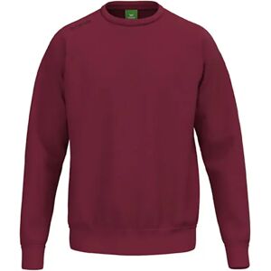 Erima Ts Sweatshirt New Bordeaux 152 cm Boys,Girls Erima Ts Sweatshirt New Bordeaux 152 cm Boys,Girls