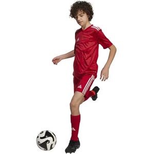 Adidas Team Icon 25 Short Sleeve T-shirt Team Power Red 2 11-12 Years Boys,Girls Adidas Team Icon 25 Short Sleeve T-shirt Team Power Red 2 11-12 Years Boys,Girls