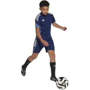 Adidas Tiro 25 Competition Training Short Sleeve T-shirt Team Navy Blue 2 11-12 Years Boys,Girls Adidas Tiro 25 Competition Training Short Sleeve T-shirt Team Navy Blue 2 11-12 Years Boys,Girls