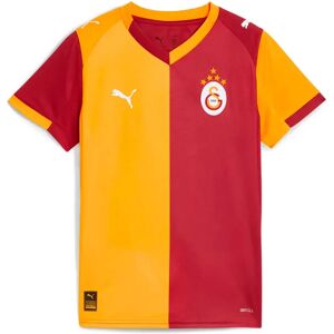 Puma Galatasaray 25/26 Replica Home Junior Short Sleeve T-shirt Red Rhythm / Intense Orange 15-16 Years Boys,Girls Puma Galatasaray 25/26 Replica Home Junior Short Sleeve T-shirt Red Rhythm / Intense Orange 15-16 Years Boys,Girls
