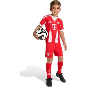 adidas - FC Bayern 25/26 Mini Kit Kids - Red - Mini Football Kit adidas - FC Bayern 25/26 Mini Kit Kids - Red - Mini Football Kit