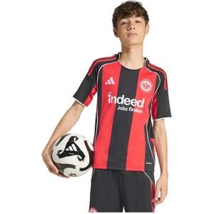 Adidas Eintracht Frankfurt 25/26 Home Junior Short Sleeve T-shirt Black / Sge Red 11-12 Years Boys,Girls Adidas Eintracht Frankfurt 25/26 Home Junior Short Sleeve T-shirt Black / Sge Red 11-12 Years Boys,Girls