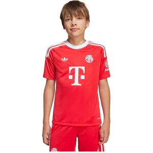 Adidas Fc Bayern 25/26 Goalkeeper Third Junior Short Sleeve T-shirt Pure Ruby 11-12 Years Boys,Girls Adidas Fc Bayern 25/26 Goalkeeper Third Junior Short Sleeve T-shirt Pure Ruby 11-12 Years Boys,Girls