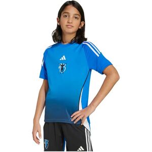 Adidas Jude Bellingham Training Short Sleeve T-shirt Glory Blue 5-6 Years Boys,Girls Adidas Jude Bellingham Training Short Sleeve T-shirt Glory Blue 5-6 Years Boys,Girls