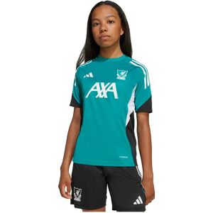 Adidas Liverpool Fc Tiro 25/26 Competition Training Junior Short Sleeve T-shirt Sea Green 7-8 Years Boys,Girls Adidas Liverpool Fc Tiro 25/26 Competition Training Junior Short Sleeve T-shirt Sea Green 7-8 Years Boys,Girls
