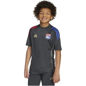 Adidas Olympique De Lyon Tiro 25/26 Competition Training Junior Short Sleeve T-shirt Carbon / Hazy Beige 9-10 Years Boys,Girls Adidas Olympique De Lyon Tiro 25/26 Competition Training Junior Short Sleeve T-shirt Carbon / Hazy Beige 9-10 Years Boys,Girls