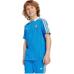 Adidas Real Madrid Terrace Icons Short Sleeve T-shirt Bluebird / White 7-8 Years Boys,Girls Adidas Real Madrid Terrace Icons Short Sleeve T-shirt Bluebird / White 7-8 Years Boys,Girls
