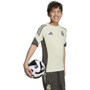Adidas Real Madrid Tiro 25/26 Competition Training Junior Short Sleeve T-shirt Almost Lime 9-10 Years Boys,Girls Adidas Real Madrid Tiro 25/26 Competition Training Junior Short Sleeve T-shirt Almost Lime 9-10 Years Boys,Girls