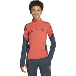 Adidas Fc Bayern Tiro 25/26 Competition Training Junior Sweatshirt Easy Coral 5-6 Years Boys,Girls Adidas Fc Bayern Tiro 25/26 Competition Training Junior Sweatshirt Easy Coral 5-6 Years Boys,Girls