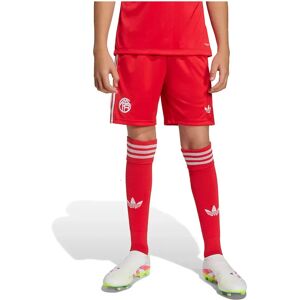 Adidas Fc Bayern 25/26 Gk Goalkeeper Third Junior Shorts Pure Ruby 7-8 Years Boys,Girls Adidas Fc Bayern 25/26 Gk Goalkeeper Third Junior Shorts Pure Ruby 7-8 Years Boys,Girls