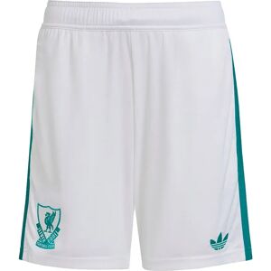 Adidas Liverpool Fc 25/26 Third Junior Shorts White 9-10 Years Boys,Girls Adidas Liverpool Fc 25/26 Third Junior Shorts White 9-10 Years Boys,Girls