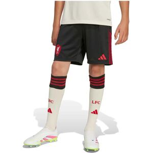 Adidas Liverpool Fc 25/26 Away Junior Shorts Black 7-8 Years Boys,Girls Adidas Liverpool Fc 25/26 Away Junior Shorts Black 7-8 Years Boys,Girls
