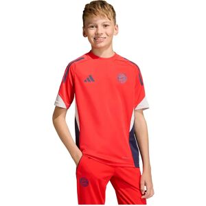 Adidas Fc Bayern Munich 25/26 Tiro Competition Training Junior Short Sleeve T-shirt Hi-Res Red 5-6 Years Boys,Girls Adidas Fc Bayern Munich 25/26 Tiro Competition Training Junior Short Sleeve T-shirt Hi-Res Red 5-6 Years Boys,Girls