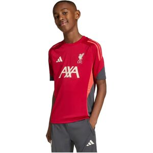 Adidas Liverpool Fc 25/26 Tiro Competition Training Junior Short Sleeve T-shirt Strawberry Red 5-6 Years Boys,Girls Adidas Liverpool Fc 25/26 Tiro Competition Training Junior Short Sleeve T-shirt Strawberry Red 5-6 Years Boys,Girls