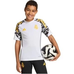 Adidas Real Madrid 25/26 Avengers Tiro Competition Training Junior Short Sleeve T-shirt White / Bold Gold 9-10 Years Boys,Girls Adidas Real Madrid 25/26 Avengers Tiro Competition Training Junior Short Sleeve T-shirt White / Bold Gold 9-10 Years Boys,Girls