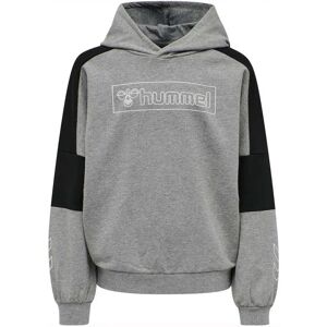 Hummel Boxline Hoodie Medium Melange 116 cm Boys,Girls Hummel Boxline Hoodie Medium Melange 116 cm Boys,Girls