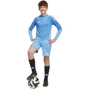 Adidas Tiro 25 Pro Goalkeeper Shorts Blue Burst 13-14 Years Boys,Girls Adidas Tiro 25 Pro Goalkeeper Shorts Blue Burst 13-14 Years Boys,Girls