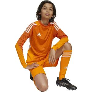 Adidas Tiro 25 Pro Goalkeeper Shorts Crew Orange 13-14 Years Boys,Girls Adidas Tiro 25 Pro Goalkeeper Shorts Crew Orange 13-14 Years Boys,Girls