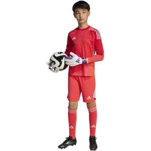 Adidas Tiro 25 Pro Goalkeeper Shorts Shock Red 13-14 Years Boys,Girls Adidas Tiro 25 Pro Goalkeeper Shorts Shock Red 13-14 Years Boys,Girls
