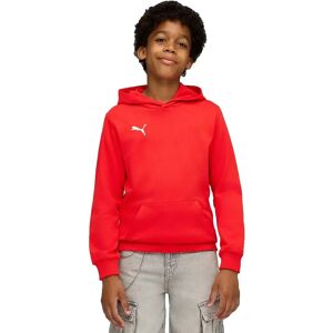 Puma Teamgoal Casuals Hoodie Red 13-14 Years Boys,Girls Puma Teamgoal Casuals Hoodie Red 13-14 Years Boys,Girls