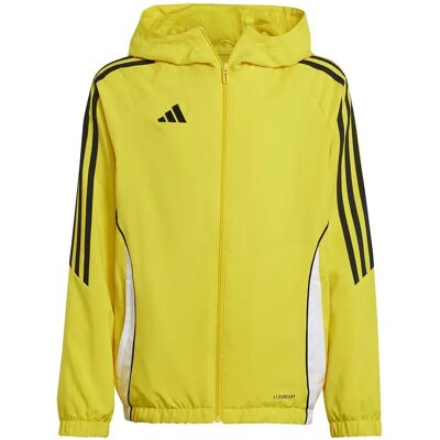 Adidas Tiro 24 Jr IM8795 training all year boy yellow - Training Jacket Adidas Tiro 24 Jr IM8795 training all year boy yellow - Training Jacket