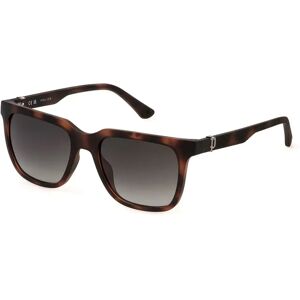 Police Spln34 Sunglasses Matt Dark Havana Smoke Gradient Smoke / CAT3 Men Police Spln34 Sunglasses Matt Dark Havana Smoke Gradient Smoke / CAT3 Men