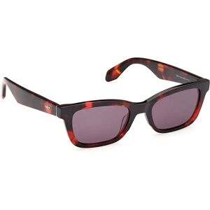adidas Originals Or0117 Polarized Sunglasses Red Havana Smoke Men,Women adidas Originals Or0117 Polarized Sunglasses Red Havana Smoke Men,Women