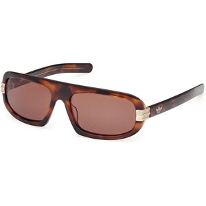 adidas Originals Or0122 Sunglasses Dark Havana One Size Men adidas Originals Or0122 Sunglasses Dark Havana One Size Men