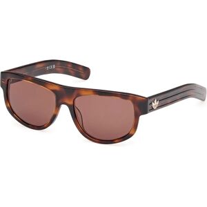 adidas Originals Or0126 Sunglasses Dark Havana One Size Men adidas Originals Or0126 Sunglasses Dark Havana One Size Men