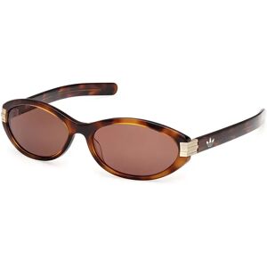 adidas Originals Or0129 Sunglasses Dark Havana / Brown One Size Men,Women adidas Originals Or0129 Sunglasses Dark Havana / Brown One Size Men,Women