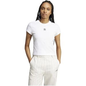 adidas Originals Essentials Slim Short Sleeve T-shirt White 2XS Women adidas Originals Essentials Slim Short Sleeve T-shirt White 2XS Women