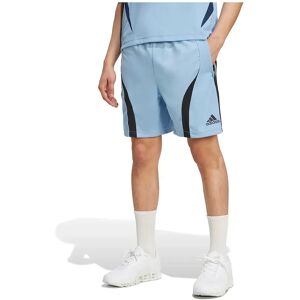 adidas Originals Teamgeist Adicolor Shorts Ash Blue / Black S Men adidas Originals Teamgeist Adicolor Shorts Ash Blue / Black S Men